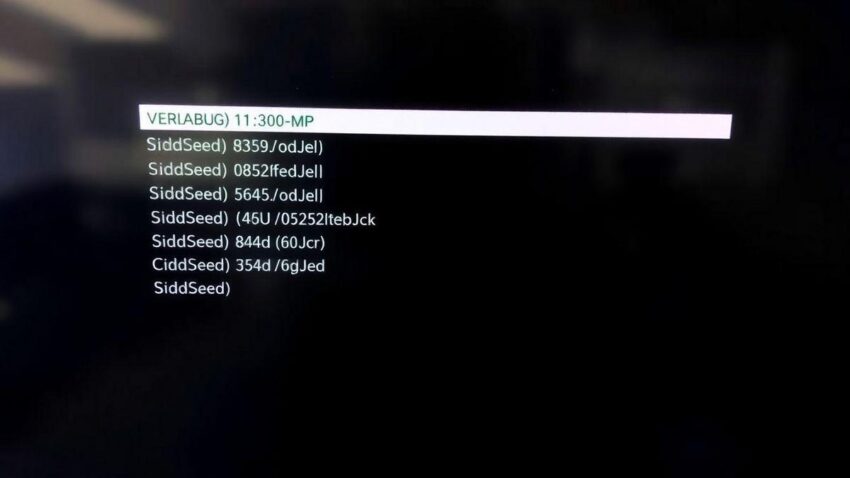-bios-----