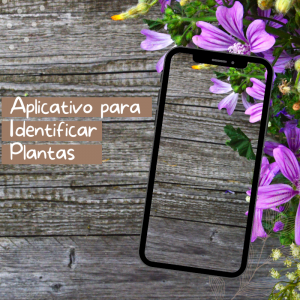 aplicativo para detectar plantas